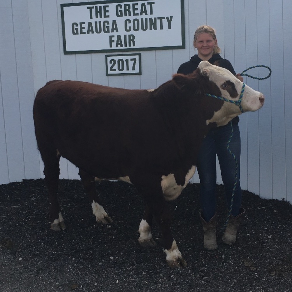 Meet your Posher, Reilly